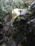 PC080045