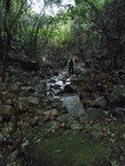 PC080049