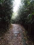 繼續沿古道前行
PC080180