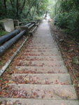 落大水井石級路
PC080186