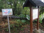 原來這條上昂平路是馬鞍山郊遊徑路段
PC080187
