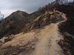 大欖郊遊徑, 四排石之後路段左右都燒通山
PC150080