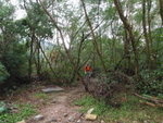 到小路頂
PC290039