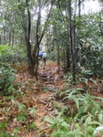 石級頂接山路
PC290047