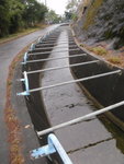 橫跨引水道的鐵枝有何作用呢? 
PC290053