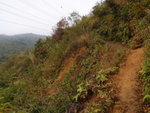 左邊是小小泥路
PC290075