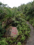 中途見左邊小路邊石上有字, 原來意是"拜山路". 聽說這裏己是上花山範圍
PC290076