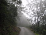 越行越大霧
PC290088