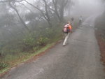 有路標指示前行, 不過前少少又有樹枝欄路&#22083;
PC290090
