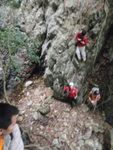 上攀樹根途中下望
P1050280