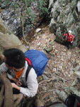 樹根夠粗夠實, 抱住好有安全感哩
P1050281