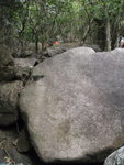 上溯鵝肚坑, 坑中多大石
P1260081