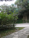 石級頂接馬路
P1260364