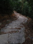 可接一山路
P1260385