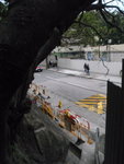 落至一馬路
P1260388