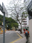 原來這條是平定道, 轉左沿平定道前行, 經過一些學校
P1260390
