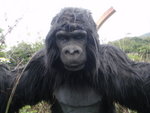 好駭人的大猩猩公仔
P1100075