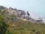 小徑中右望海邊見企人石
P1120127