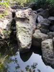 坑中一大石, 似唔似鱷魚頭哩
P1140061