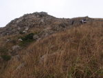 上攀蚺蛇西崖, 有時要踏草而上, 小心草堆中碎石
P1140186