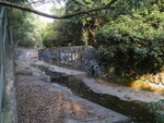 石龍坑下源引水道段, 在引水道旁行過
P1170006