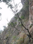 太平山北坡攀石牆
P1240017