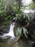 上溯青龍石澗 
P5200125