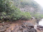 P2020301