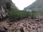 P2020306
