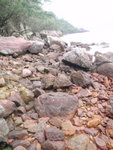 P2020308