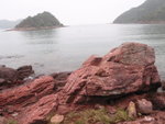 烏洲塘中望烏洲
P2020316