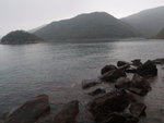 P2020319