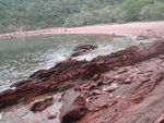 P2020323