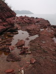 火紅海岸綑邊
P2020327