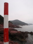 P2020329