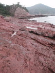 火紅海岸綑邊
P2020333