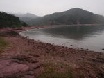 P2020336