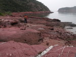 火紅海岸綑邊 - 紅石門
P2020352