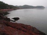 P2020353