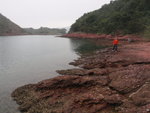P2020355