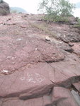 P2020357