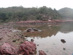 P2020369