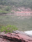 P2020374