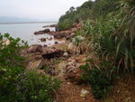 馬屎洲北岸綑邊, 回頭仍見船灣淡水湖大壩
P2040136
