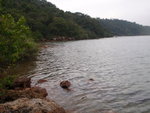 馬屎洲西岸綑邊
P2040141