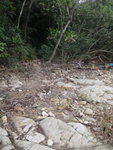 馬屎洲西岸綑邊, 多接山路
P2040148