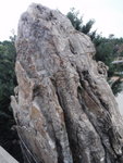 P2090194