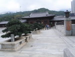 P2090197