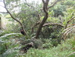 P3040084
