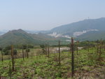 右望沙頭角及梧桐山(右)及長茅坑山(左)
P3110193